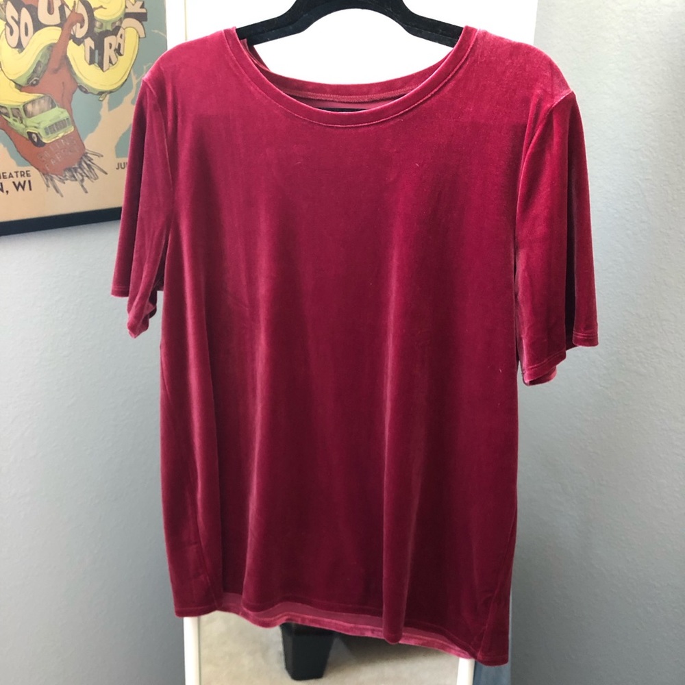 LOFT Velvet T-shirt